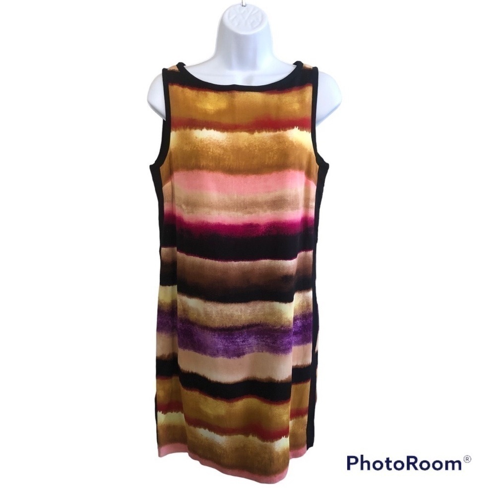 Ann Taylor Women’s Watercolors Stripes Sleeveless Shift Dress Size 4 - Picture 1 of 12